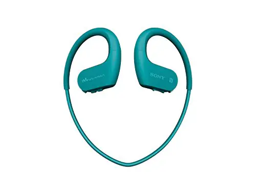 SONY Waterproof and Dustproof Headphones