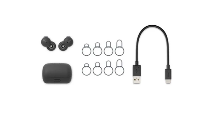 LinkBuds WF-L900 Extra Acccessories